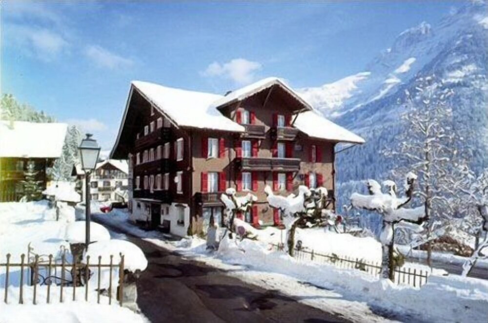 Hôtel des Alpes